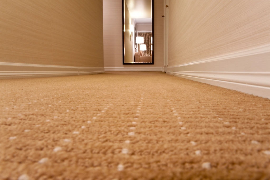 Carpet